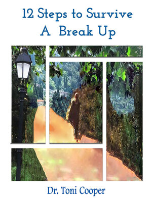 cover image of 12 Steps to Survive a Break Up